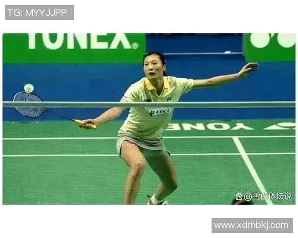 杭州羽毛球队逆袭全国锦标赛的辉煌历程与背后故事揭秘